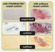Stainmaster carpet cushion