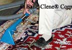 Cleaning rug with 4" tool