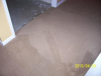 Carpet cleaned with Bane-Clene chemicals and equipment