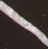 Negro Marquina