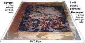 Removing Pet Odors from Rugs Dog and Cat Urine Stains