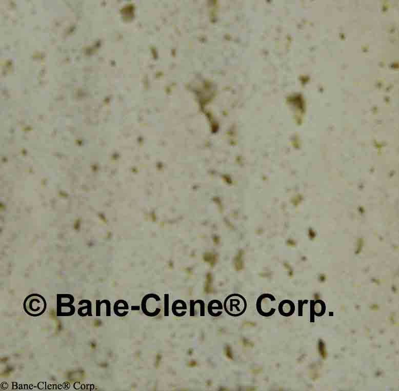 Travertine