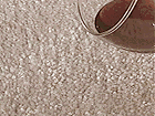 Carpet treated with Teflon