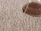 Carpet not treated with Teflon Carpet Protector
