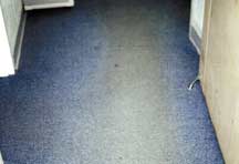 Yellowed carpet from Asphalt - supplied by Beaulieu of America