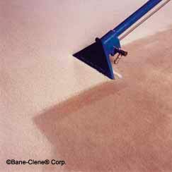 Carpet Care