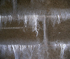 Efflorescence White Deposit on Stone Efflorescence on Stone