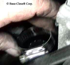 Hose clamp