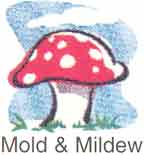 Ozone for mold and mildew odor