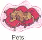 Ozone for pet odors