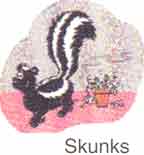 Ozone for skunk odor