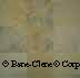 Sandstone