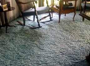 Shag Carpet