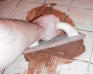 Grout Cleaning