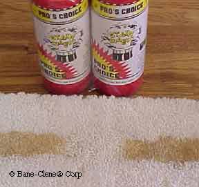 Stain Magic Removal of Coffee Stains