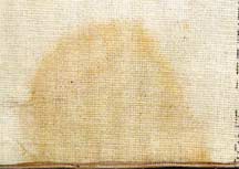 Urine Odor and Stain Problems