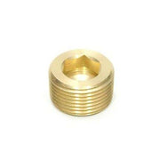 1/4" Brass Pipe Plug for #20860 Strainer