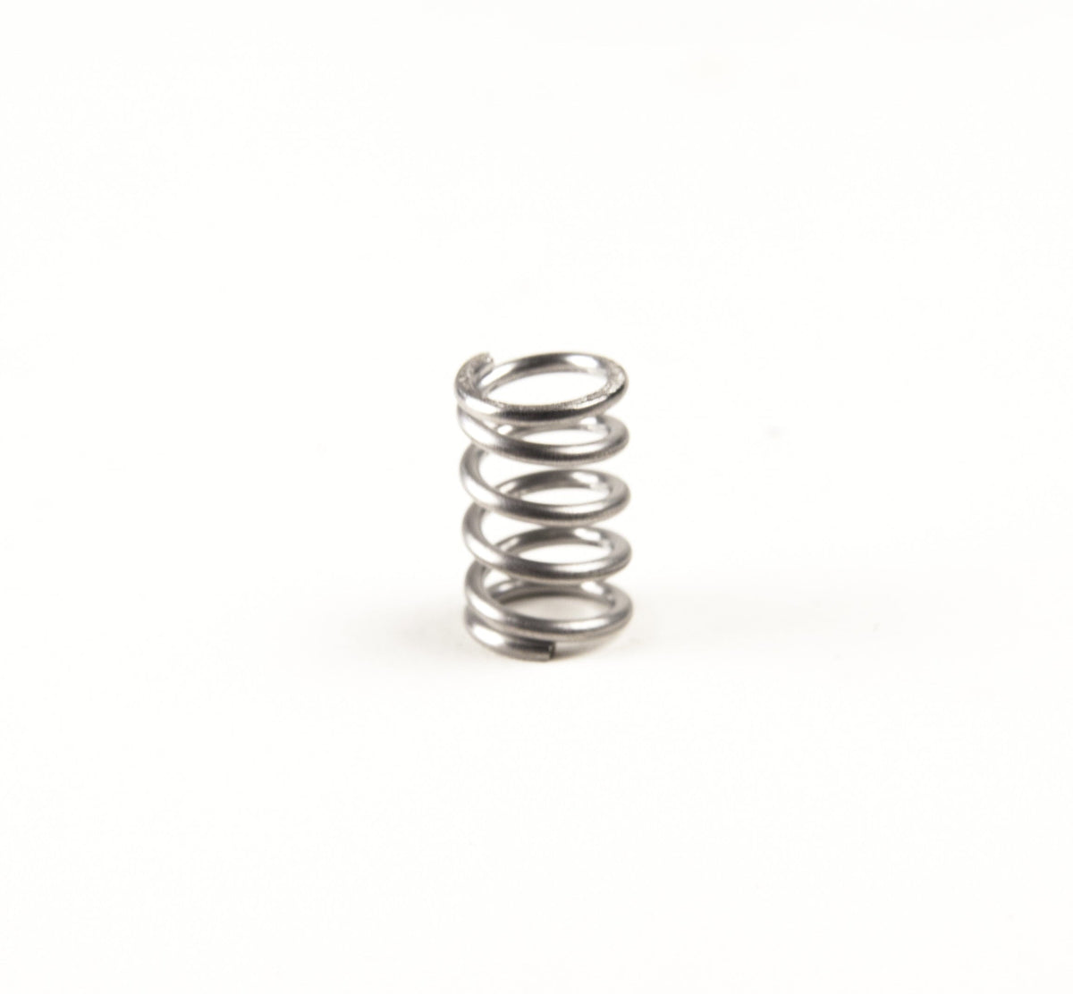 Valve Spring