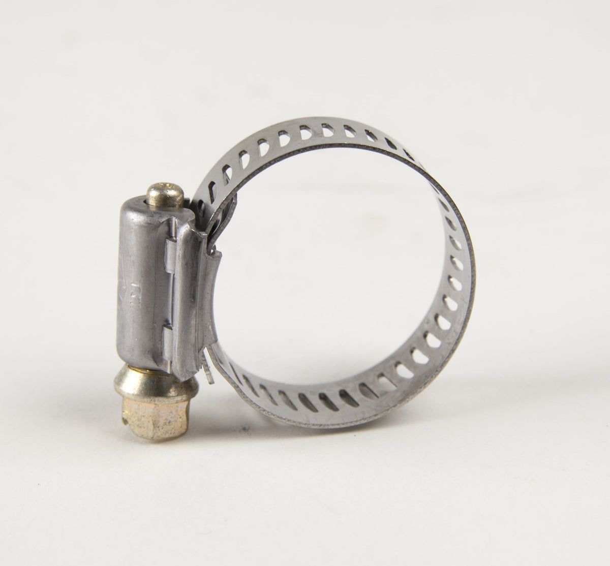 1" Worm Clamp